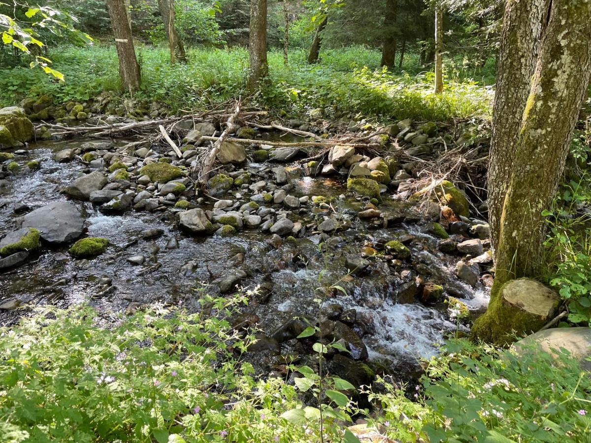 Le Chalet Du Coeur Mittlach المظهر الخارجي الصورة