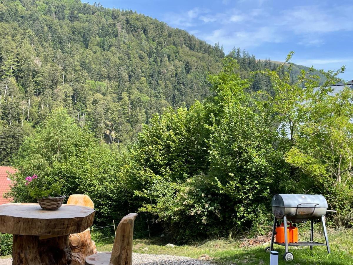 Le Chalet Du Coeur Mittlach المظهر الخارجي الصورة