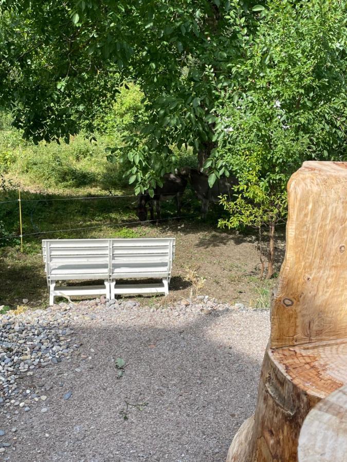 Le Chalet Du Coeur Mittlach المظهر الخارجي الصورة