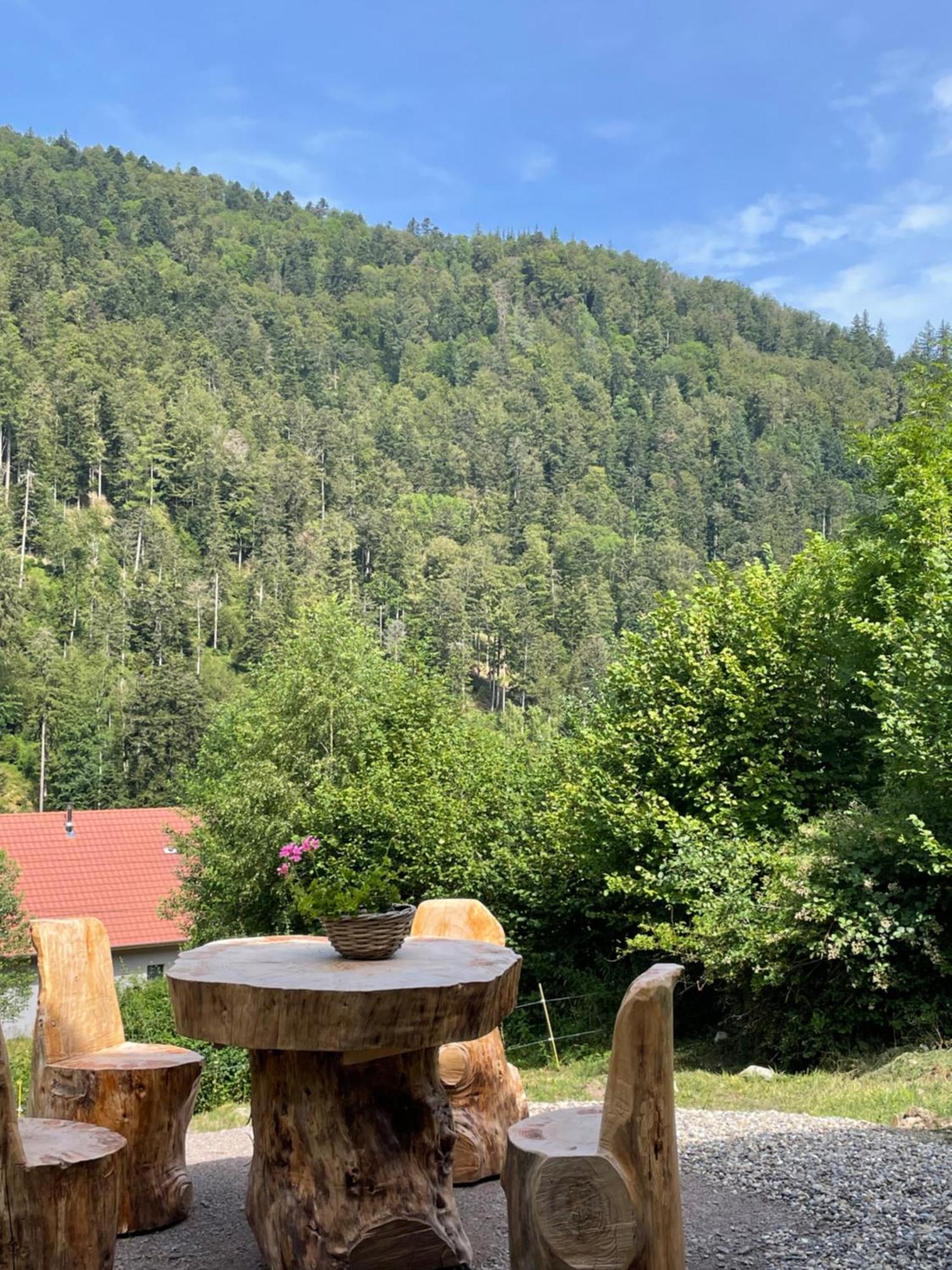 Le Chalet Du Coeur Mittlach المظهر الخارجي الصورة